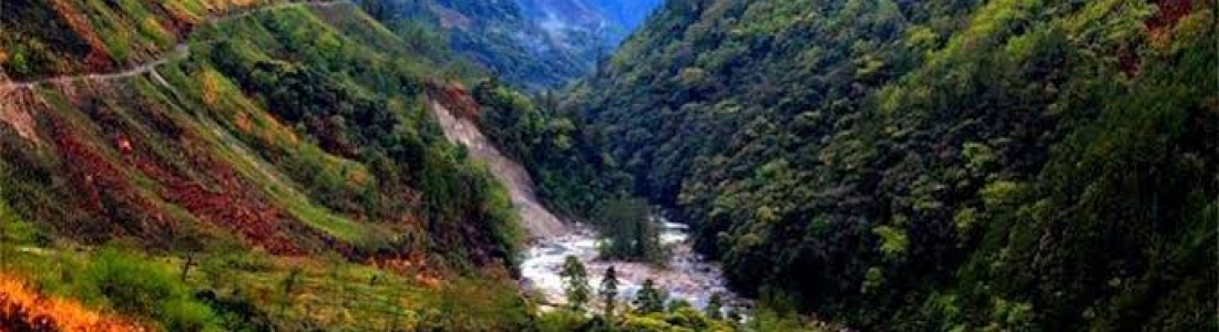 Baggage Scanner on Rent in Upper Dibang Vally