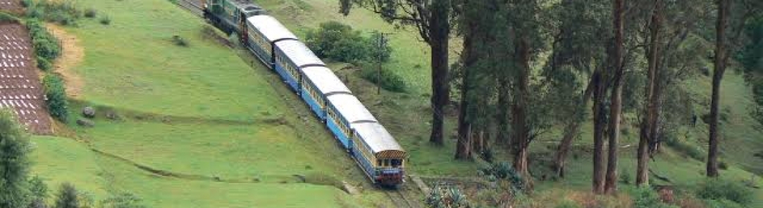 Baggage Scanner on Rent in Nilgiris